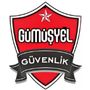 Gümüşyel Güvenlik Hizmetleri Ltd Şti 